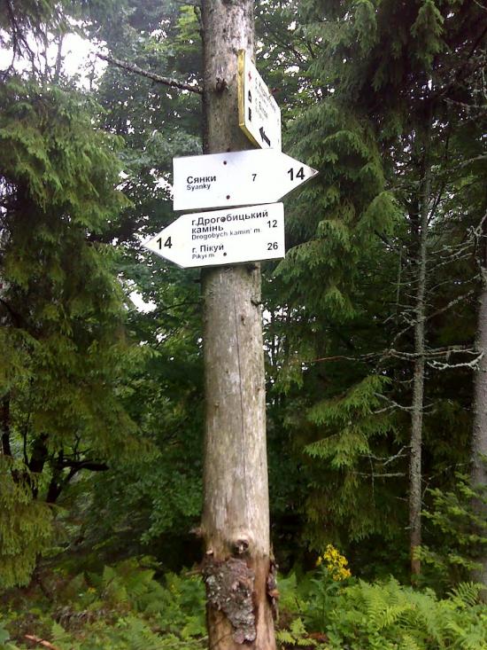 Карпатське з panoramio.com - Карпатське