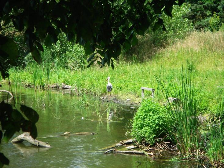 Кожухівка з panoramio.com - Кожуховка