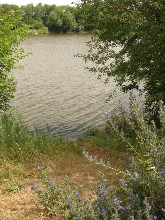 Новий Донбас з panoramio.com - Novyy Donbas