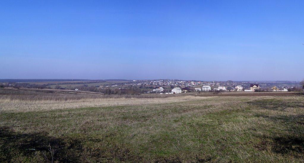Нова Березівка з panoramio.com - Нова Березівка