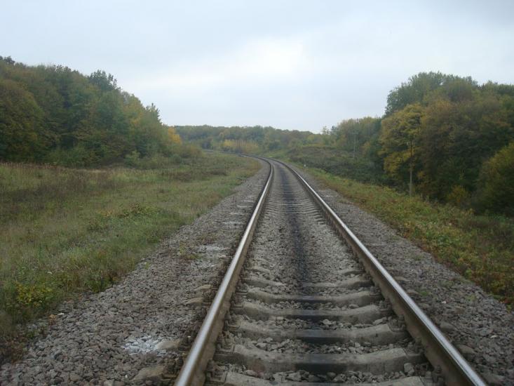 Верхівці з panoramio.com - Verkhivtsi