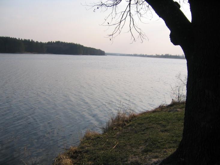 Рудня-Городищенська з panoramio.com - Рудня-Городищенська