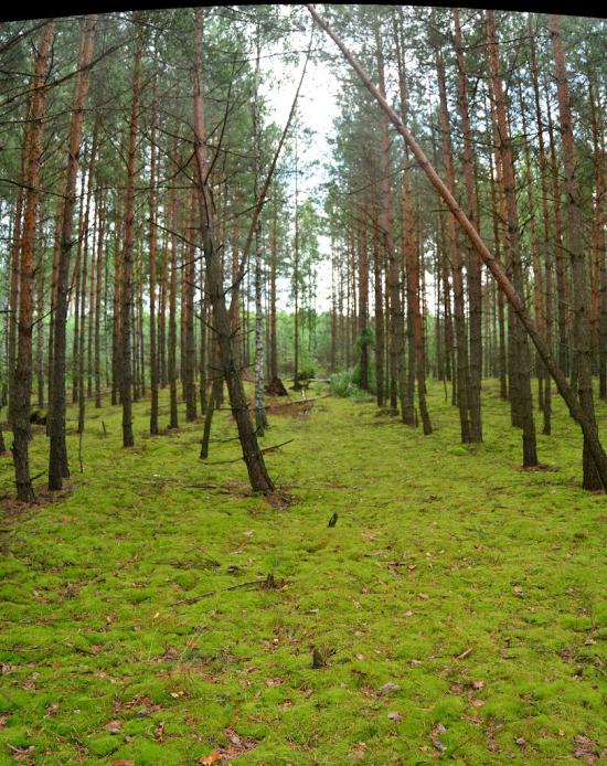 Тополівка з panoramio.com - Тополівка