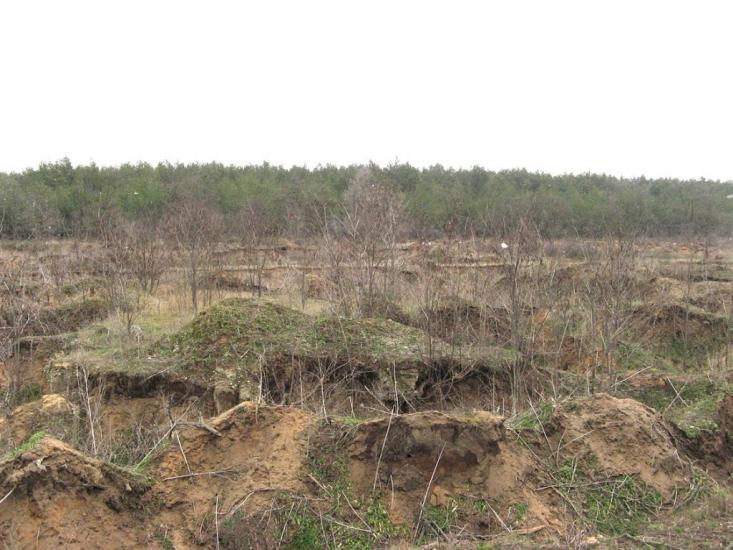 Широке з panoramio.com - Shyroke