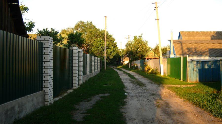 Богданівка з panoramio.com - Богдановка