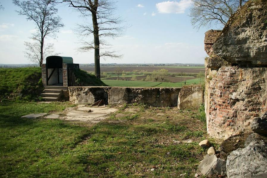 Биків з panoramio.com - Быков