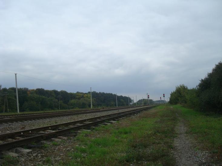 Красносілка з panoramio.com - Красноселка
