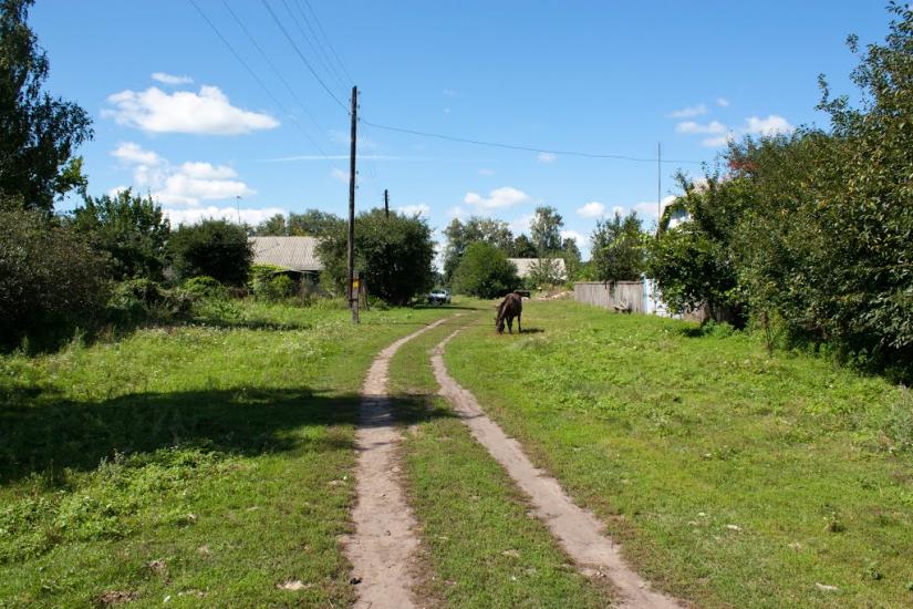 Чапаєвка з panoramio.com - Чапаевка