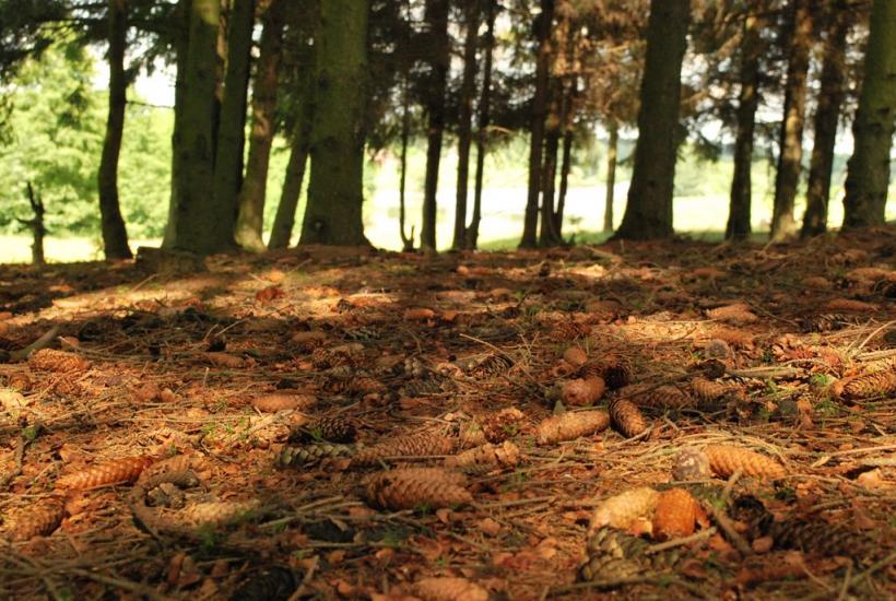 Кашперівка з panoramio.com - Кашперівка