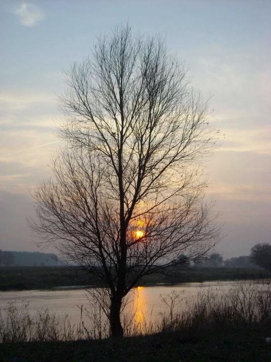 Шелудьківка з panoramio.com - Sheludkivka