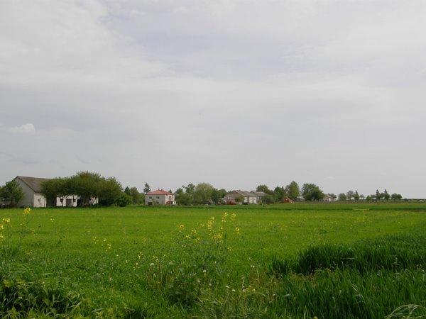 Корчів з panoramio.com - Корчів