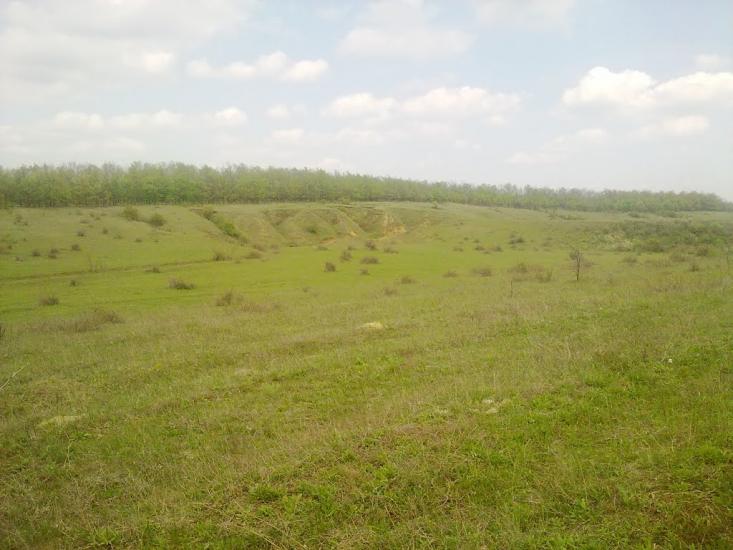 Михайло-Ларине з panoramio.com - Михайло-Ларино