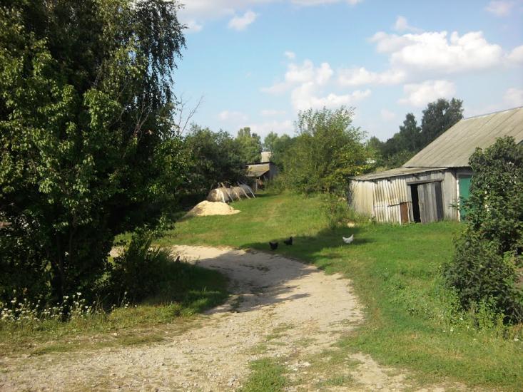 Терехівка з panoramio.com - Тереховка