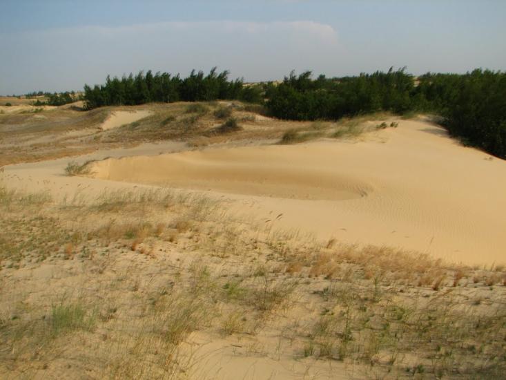 Пролетарка з panoramio.com - Пролетарка