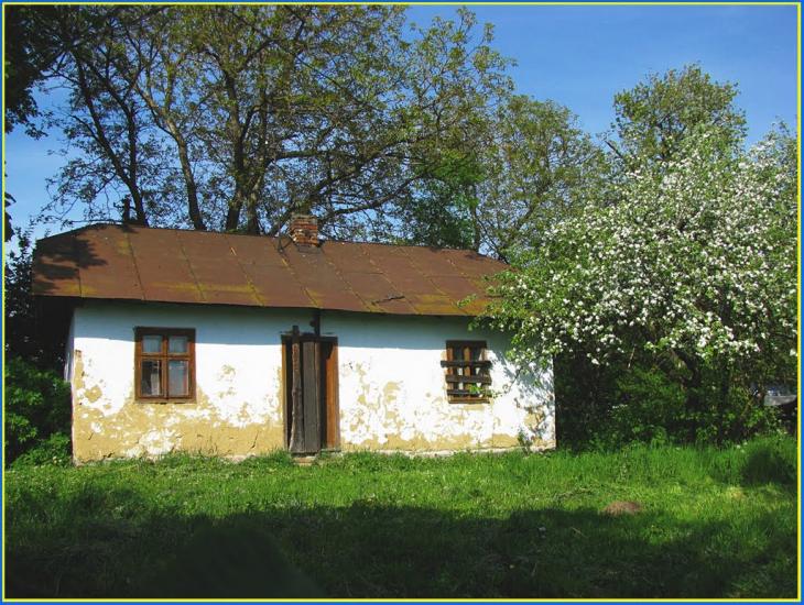 Букачівці з panoramio.com - Букачівці
