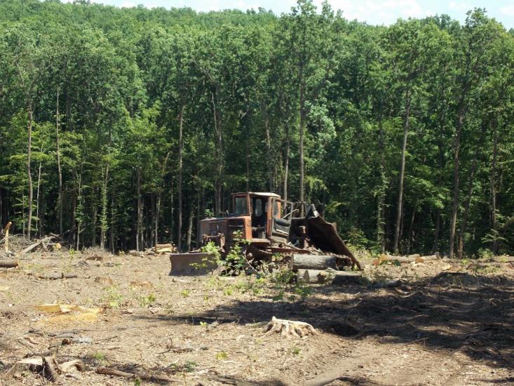 Карбівське з panoramio.com - Karbivske