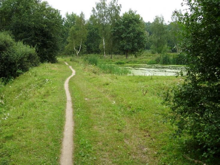 Селище з panoramio.com - Селище