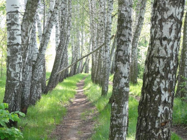 Брацлав з panoramio.com - Брацлав