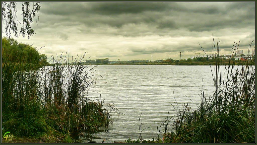 Прибузьке з panoramio.com - Прибугское