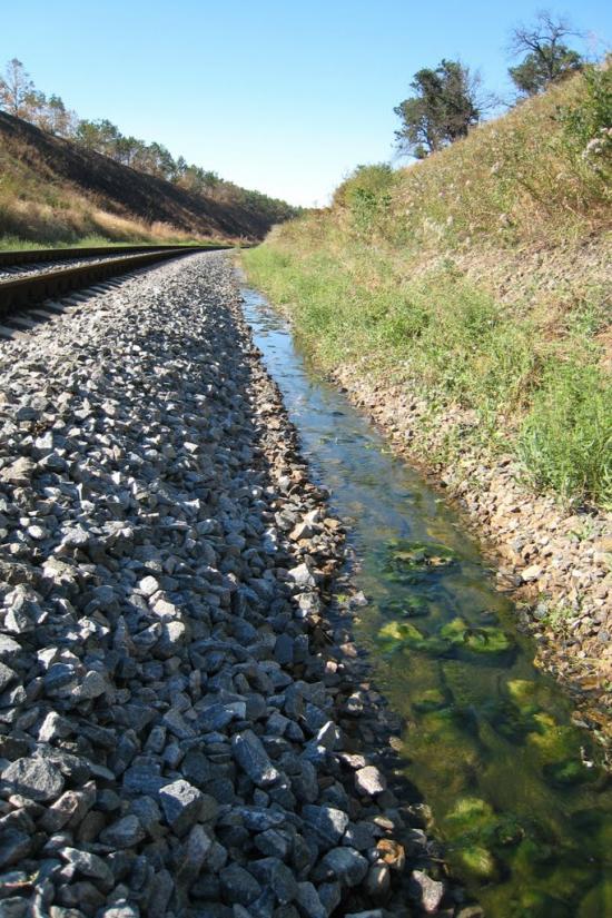 Білоріченський з panoramio.com - Білоріченський