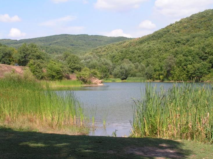 Сонячносілля з panoramio.com - Солнечноселье