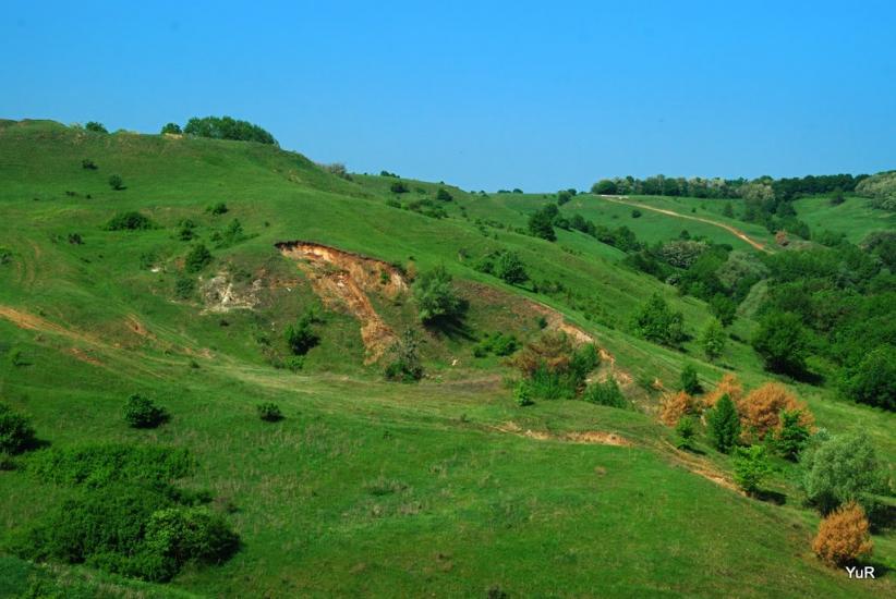 Слиньків Яр з panoramio.com - Slynkiv Jar