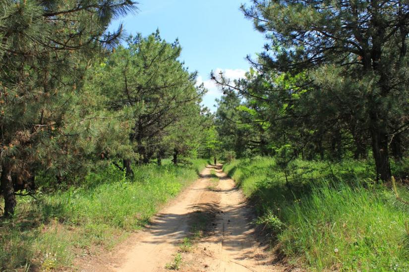 Широке з panoramio.com - Shyroke
