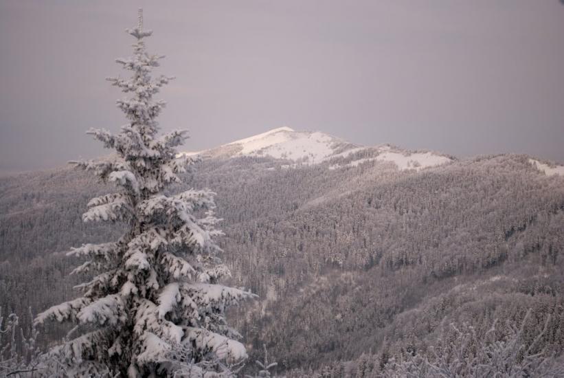 Коростів з panoramio.com - Коростов