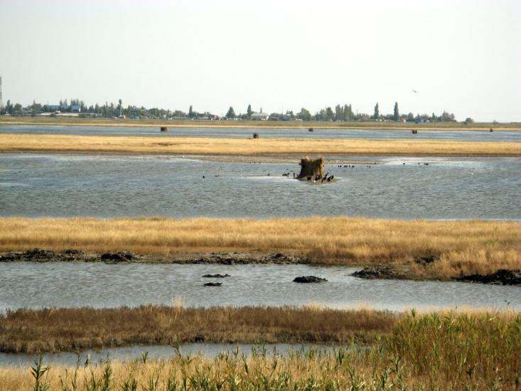 Коблеве з panoramio.com - Коблево