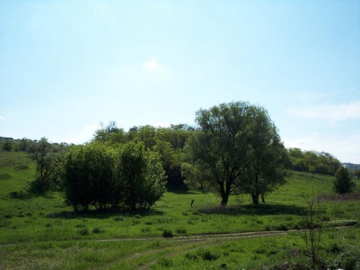 Сурсько-Литовське з panoramio.com - Сурско-Литовское