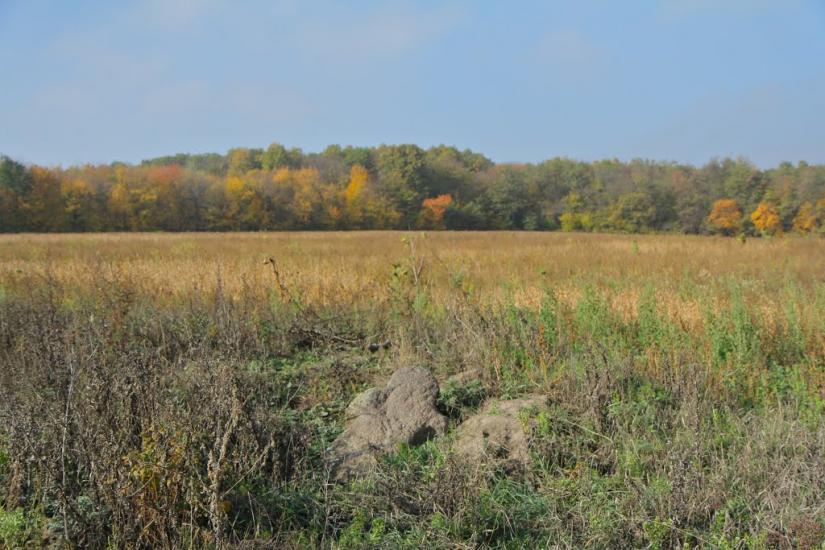 Карбівське з panoramio.com - Karbivske