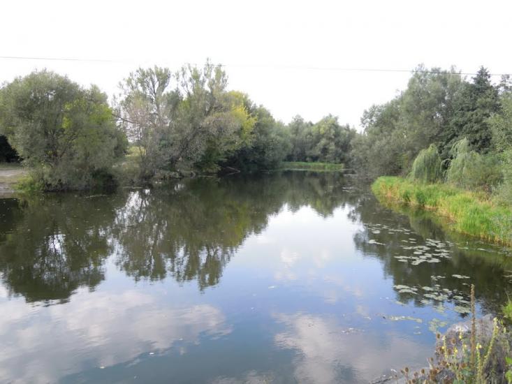 Могилівка з panoramio.com - Могилевка