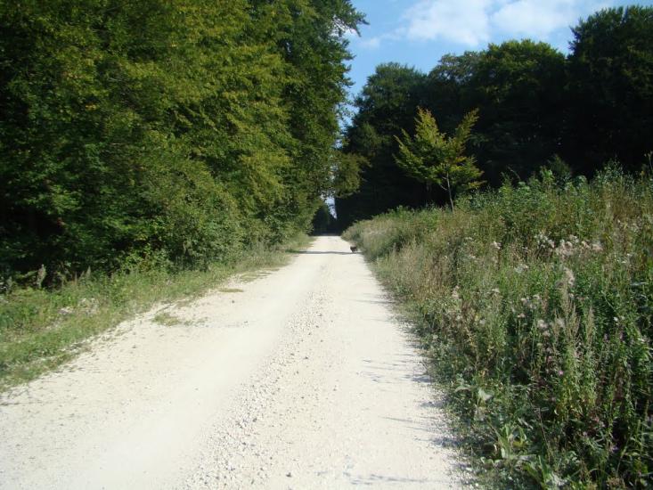 Іванківці з panoramio.com - Иванковцы