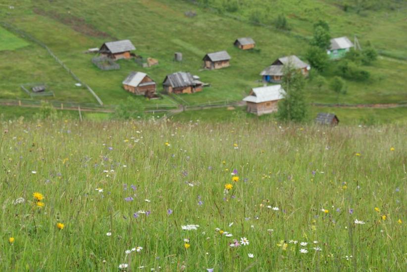 Бистриця з panoramio.com - Бистриця