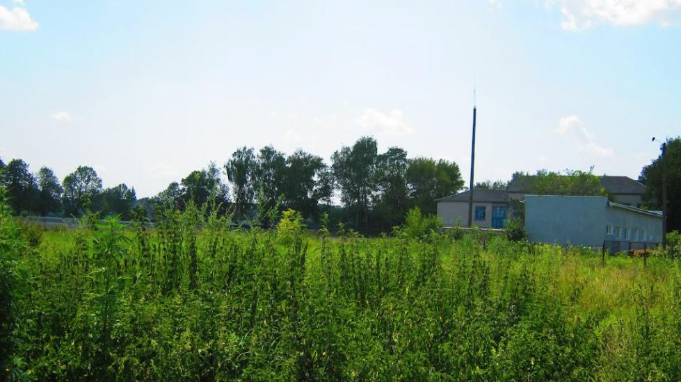 Богданівка з panoramio.com - Богдановка