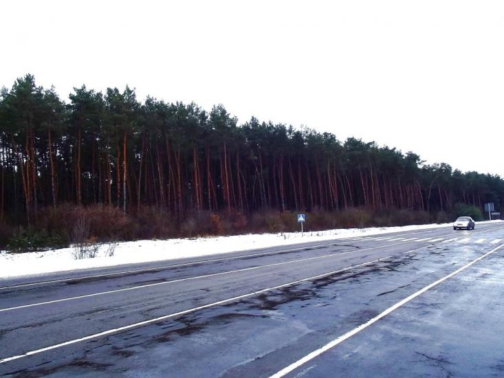 Боянівка з panoramio.com - Бояновка