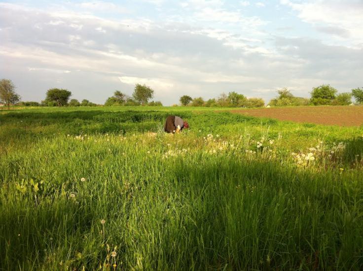 Іванівка з panoramio.com - Іванівка