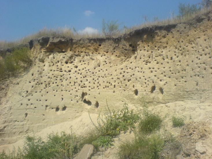 Світильня з panoramio.com - Світильня