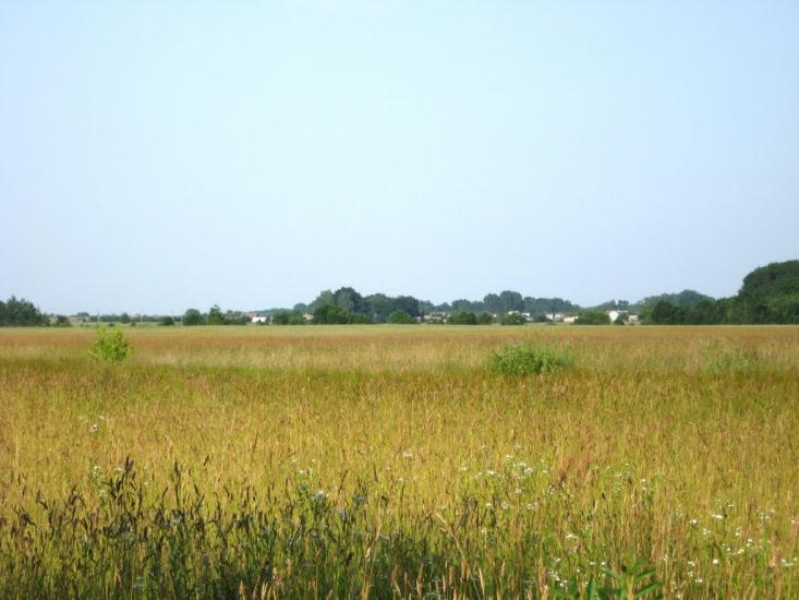 Сокиричі з panoramio.com - Сокиричі