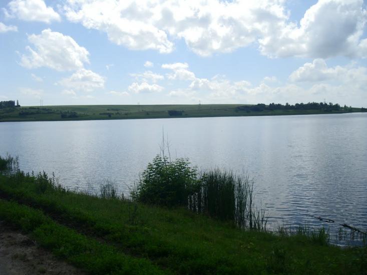 Малашівці з panoramio.com - Малашевцы