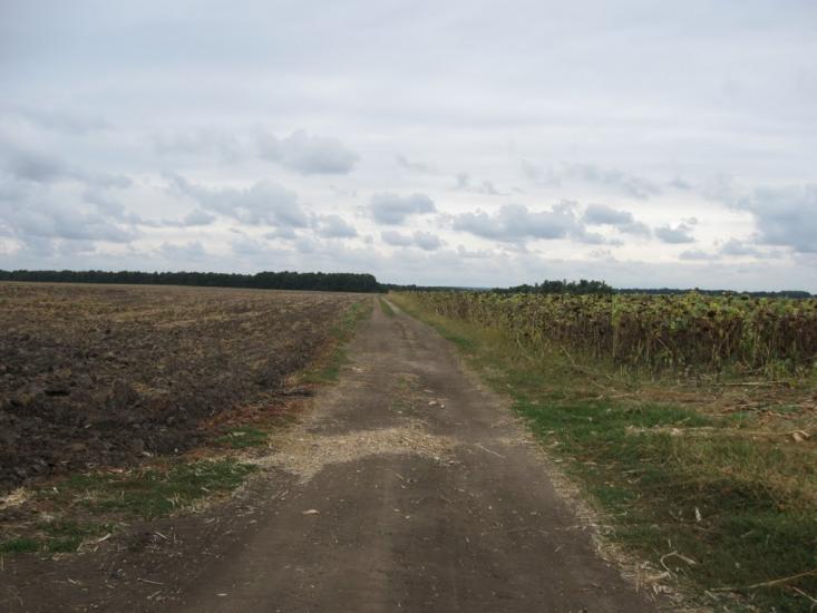 Ярмолинці з panoramio.com - Ярмолинці