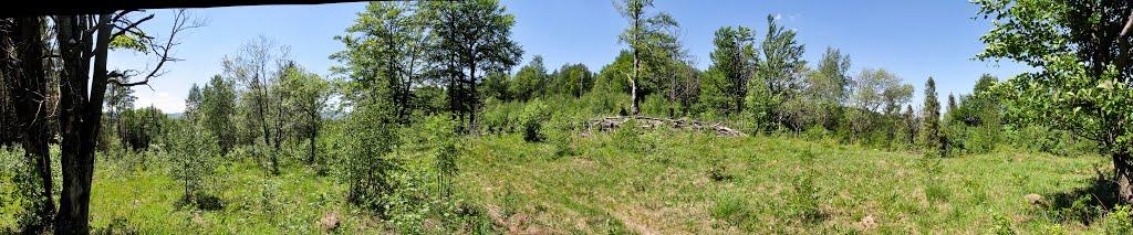 Труханів з panoramio.com - Trukhaniv