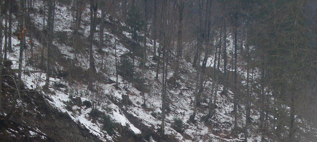 Руська Мокра з panoramio.com - Русская Мокрая