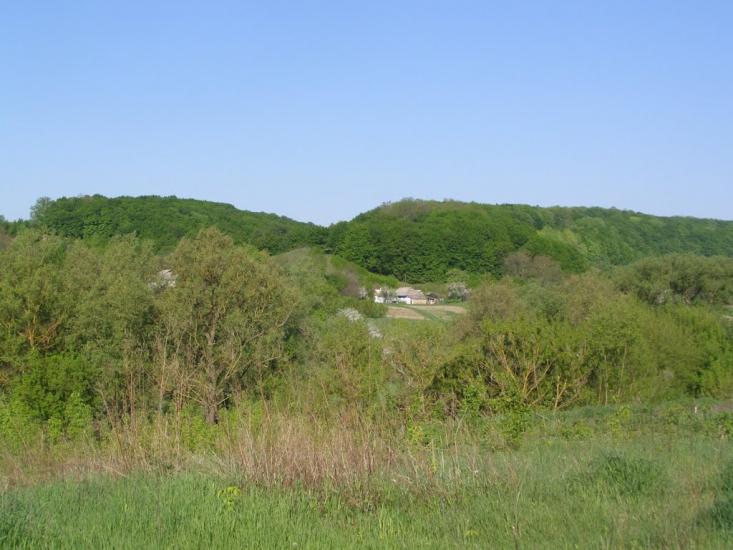 Черкасівка з panoramio.com - Черкасовка