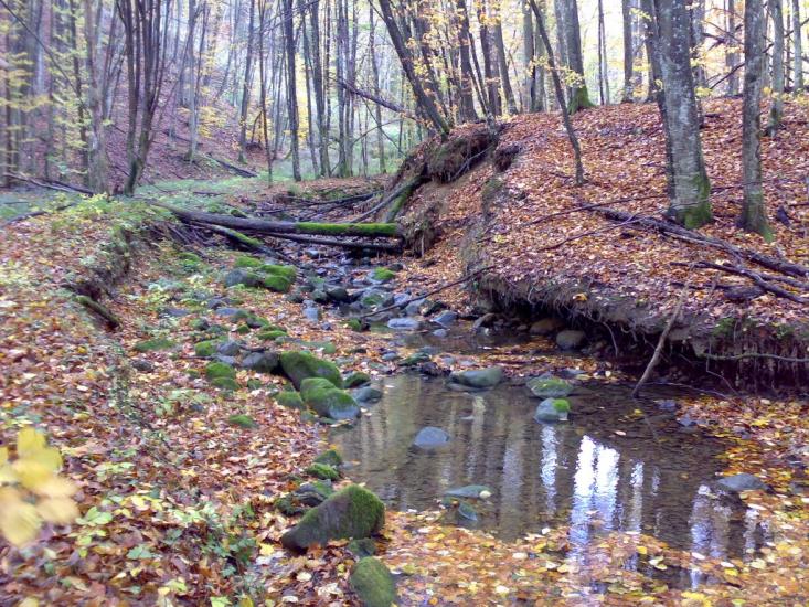 Яківське з panoramio.com - Яковское