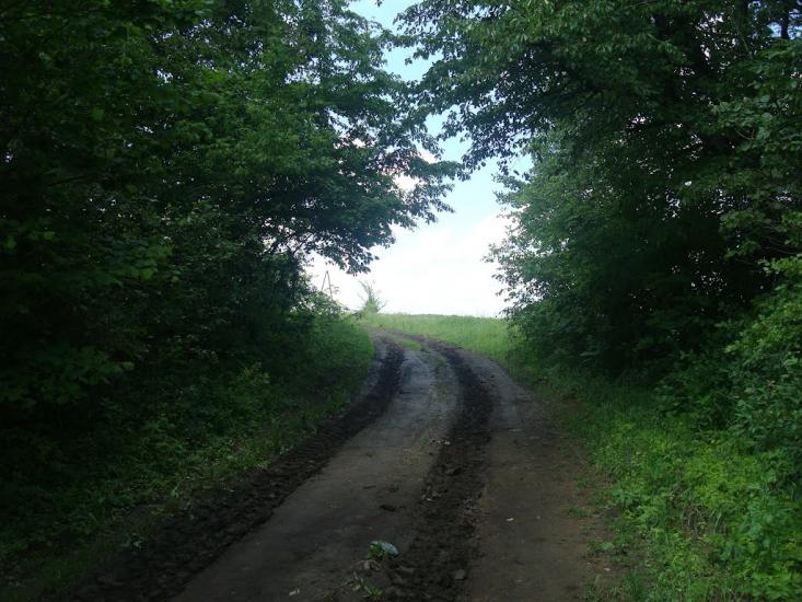 Грузевиця з panoramio.com - Грузевица