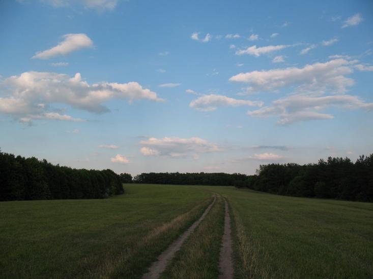 Халеп'я з panoramio.com - Халепье
