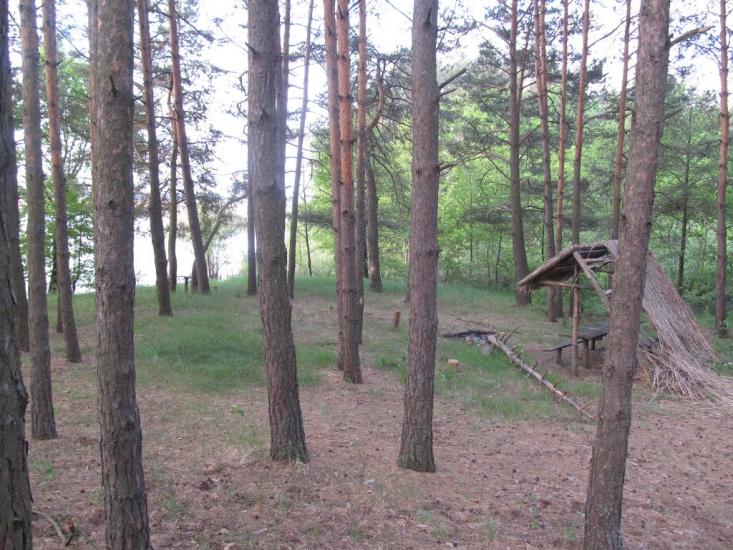 Ниговищі з panoramio.com - Ниговищі
