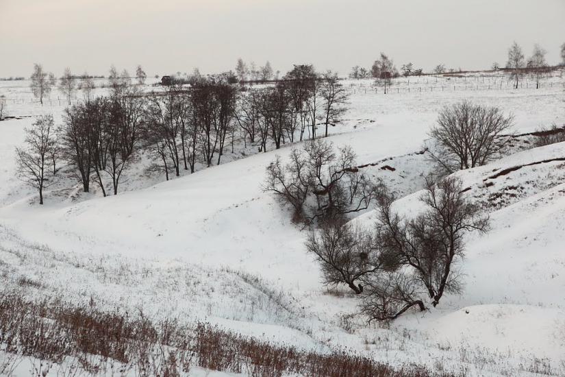 Черкаська Лозова з panoramio.com - Черкасская Лозовая
