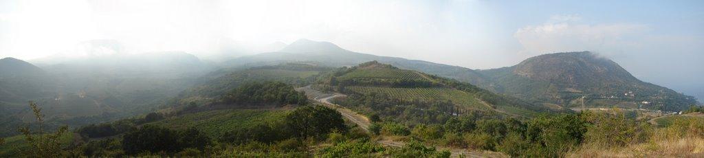 Чайка з panoramio.com - Чайка